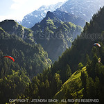 Paragliding in Manali, Himachal Pradesh, India
