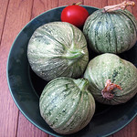 Ronde de Nice, summer squash