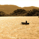 The Lone Rower - In the Morning of Turkey