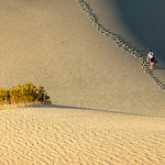 walking on the dunes