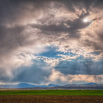 Long View Farm Ephemera