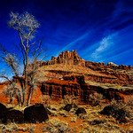 Capitol Reef