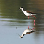 Men often become what they believe themselves to be