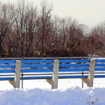 Blue Bench in the Snow