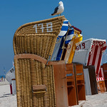 Warten auf die Touristen - Waiting for tourists