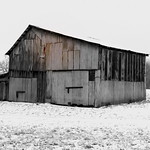 BARNS: Winters Bone