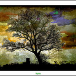 THE SKY AND THE IMPOSSIBLE EXPLODE