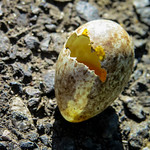 Life is Over Before it Could Begin