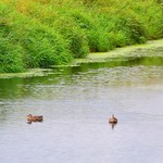 Great opportunities to help others seldom come, but small ones surround us every day.