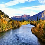 Remembering Autumn . . .