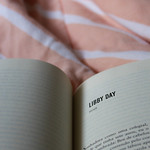 Dark Places - Gillian Flynn