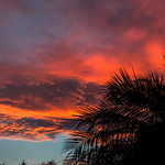 Fire Strokes the Sky