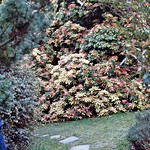 image0029_bearbeitet-5