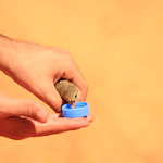 ٢٠١٦٠٨١٠١٥٥٨٠٨_IMG_1703