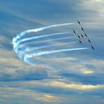 The Snowbirds (+4)