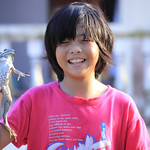 An apple a day...or just a Frog to keep the sick away?