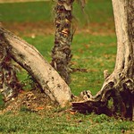 Rincones del parque de El Retiro. Madrid