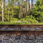 Other Side of the Tracks