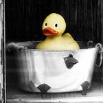 quack yerself a cold one...