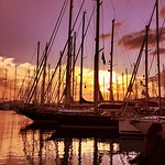 When the sun goes down!