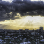 Bathed in Morning Sunlight