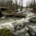 falling waters falls