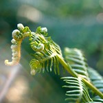 Touched by the light