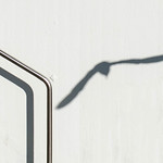 The seagull and The handraill