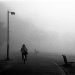 Foggy Morning, 1, 2015