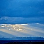 Gran Azul :: Great Blue :: Grand Bleu ::: 20150507 3697