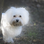 Happy Birthday Mummy...