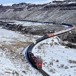 Roaming the canyon. A UP manifest crosses the Palouse River along the Ayer Sub. Palouse Falls State Park.