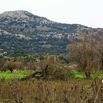 Victim of winter storms?