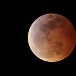 Super wolf blood moon