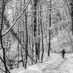 ...well underway and devil take the hindmost... ;-)