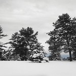 Winter Storm Warning