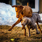 The Art of the Foul / I Call a Time Out