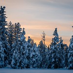 DSC_1539-Edit (Custom)