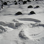 Snow Angel