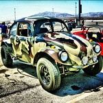 CamoBug