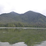 Arakun Flats, eelgrass meadow