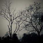 &ldquo;If you reveal your secrets to the wind, you should not blame the wind for revealing them to the trees.&rdquo;