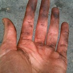 Macnas hands, July