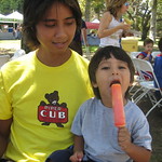 Big stick! Popsicles!