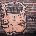 imp imp