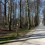 2011 Kasteel van Gaasbeek