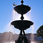 A Day Trip to Brighton