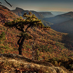 Celestial Point, Autumn View