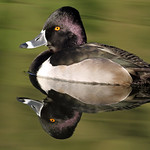 Going full circle........