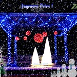 Merry X'mas & Happy New Year 2013 !